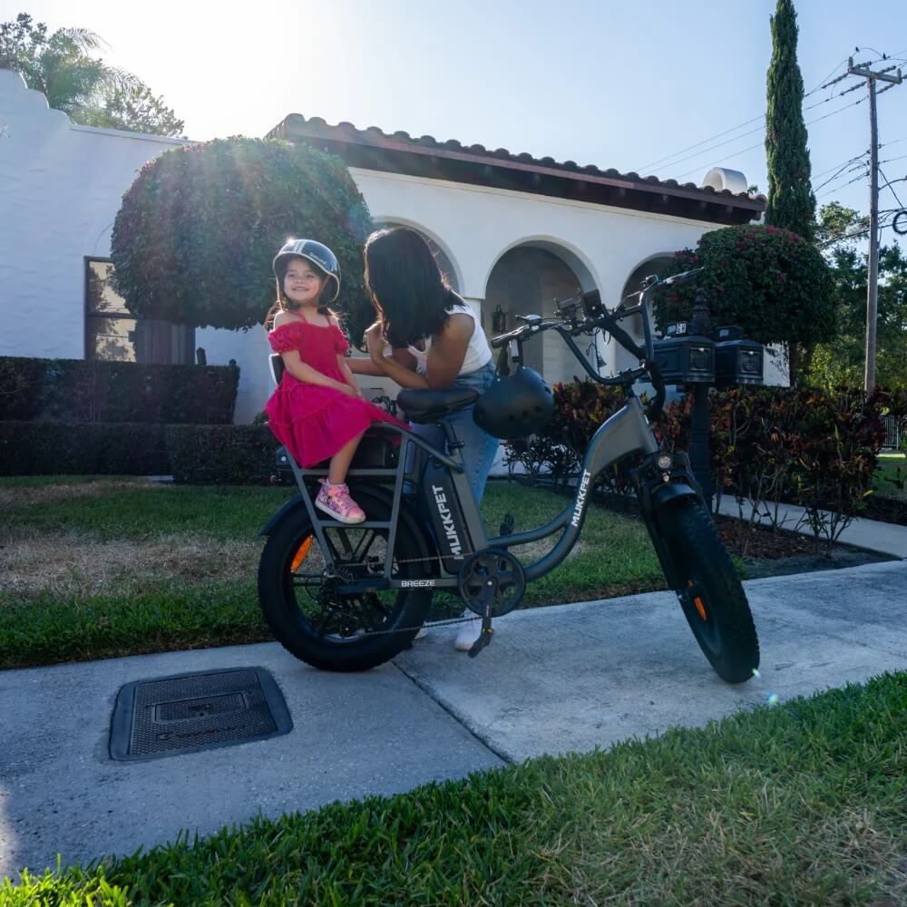 2025 Mukkpet BREEZE 750W 48V Suspension Step-Through Fat Tire Electric Bike