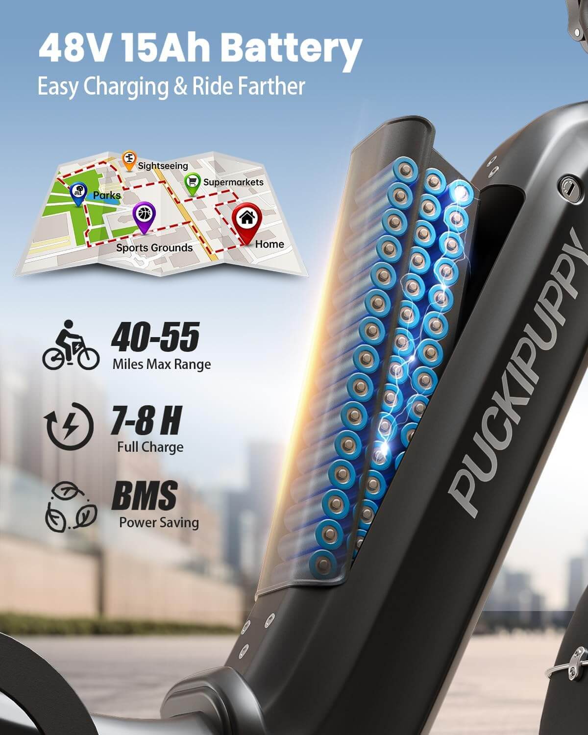 PUCKIPUPPY ROTTWEILER 48V 960W (with Reverse Gear) Fat Tire Electric Trike