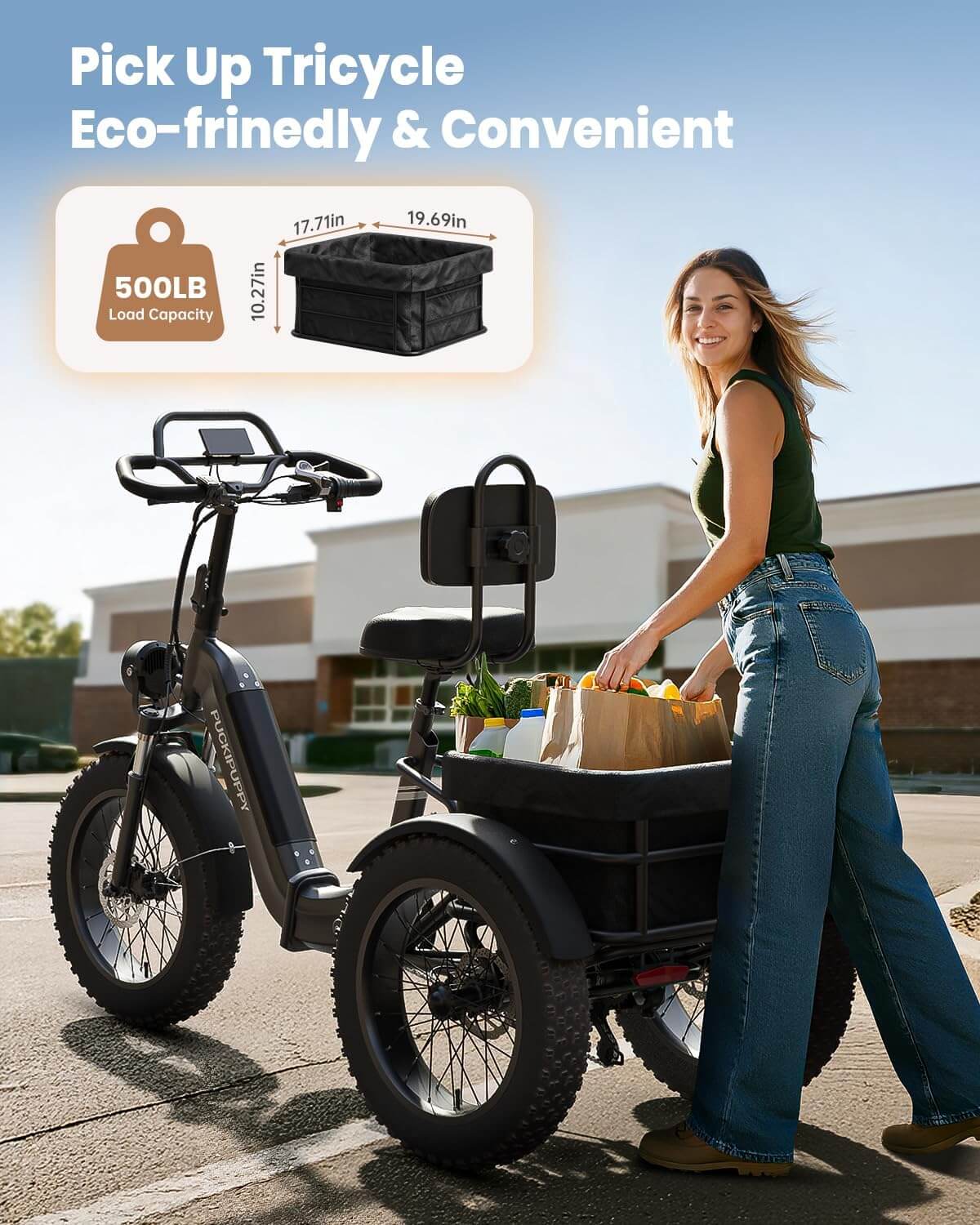 PUCKIPUPPY ROTTWEILER 48V 960W (with Reverse Gear) Fat Tire Electric Trike