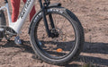 2024 Rattan PATHFINDER 750W 48V Aluminum Suspension Fat Tire Electric Bike - Upzy.com