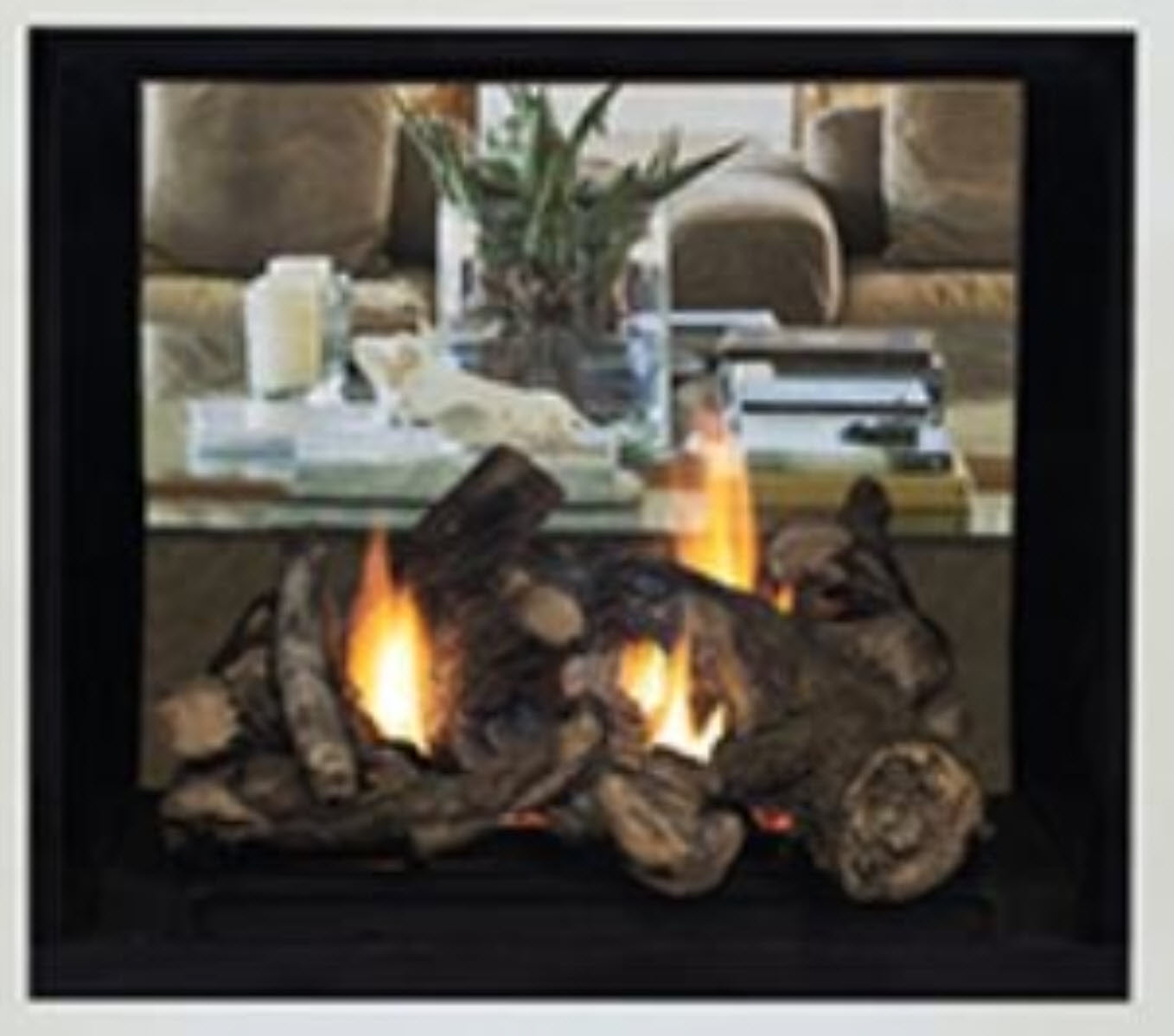 Superior 40" DRT63ST See-Through Traditional Direct Vent Fireplace