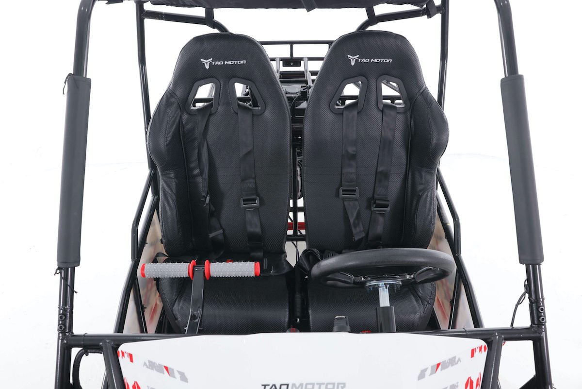 TaoTao Baja SPORT 200 Gas Go-Kart Dune Buggy, 169cc