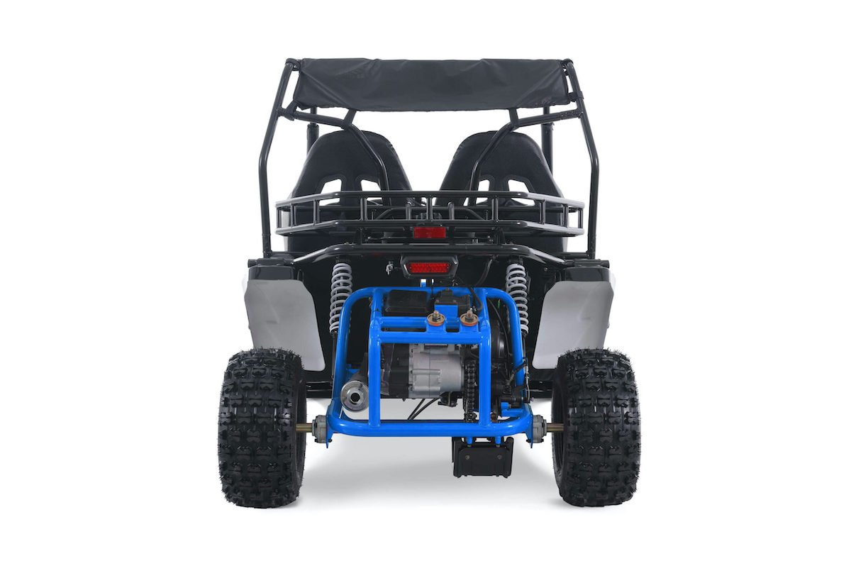 TaoTao Baja Sport 200 Gas Go-Kart Dune Buggy, 169cc