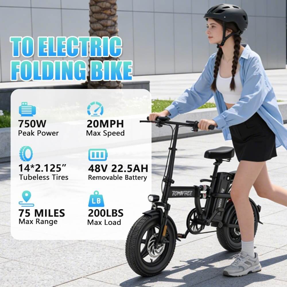 Tomofree T0 750W 48V 20Ah Folding Electric Bike