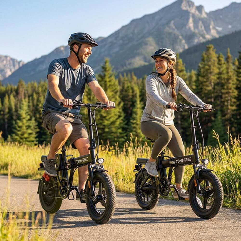 Tomofree T0 750W 48V 20Ah Folding Electric Bike