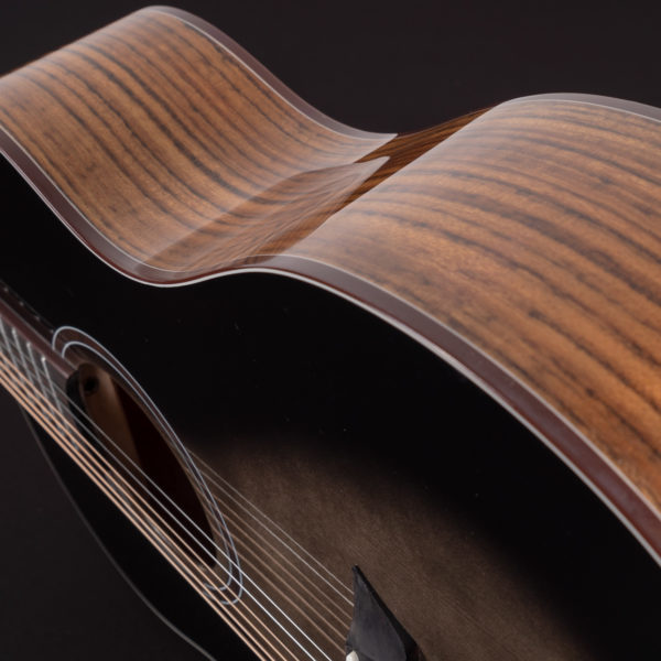 Washburn BTS9CH Bella Tono Novo S9 Acoustic Guitar