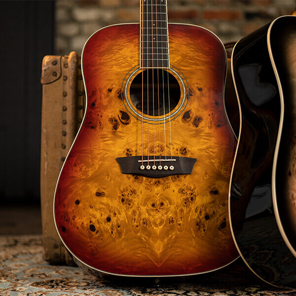 Washburn Deep Forest Burl DFBDA Dreadnought Acoustic Guitar