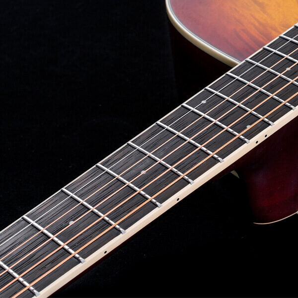 Washburn Deep Forest Burl DFBDA Dreadnought Acoustic Guitar