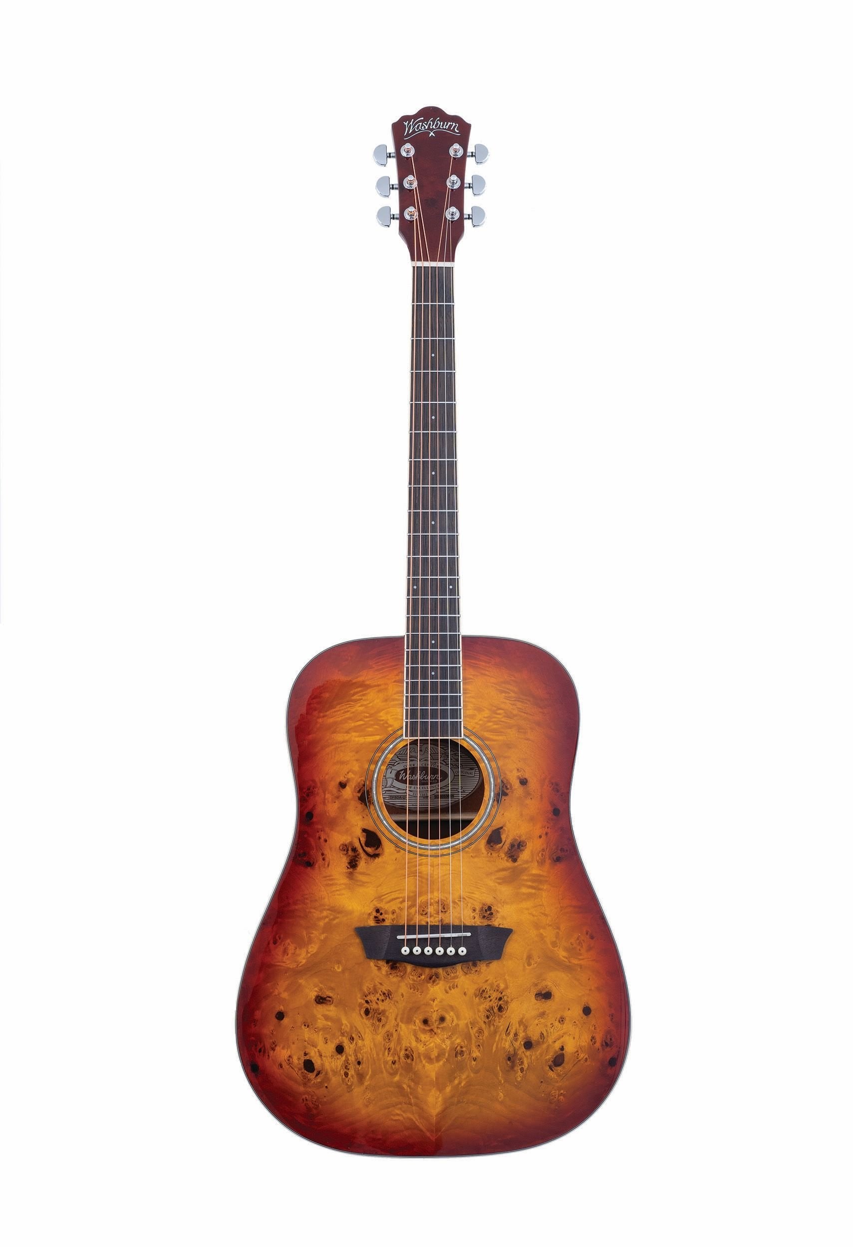 Washburn Deep Forest Burl DFBDA Dreadnought Acoustic Guitar