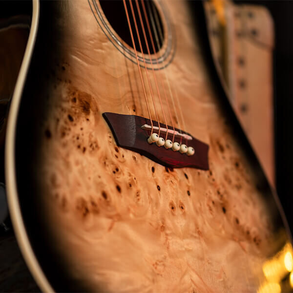 Washburn Deep Forest Burl Dreadnought DFBDB Acoustic Guitar