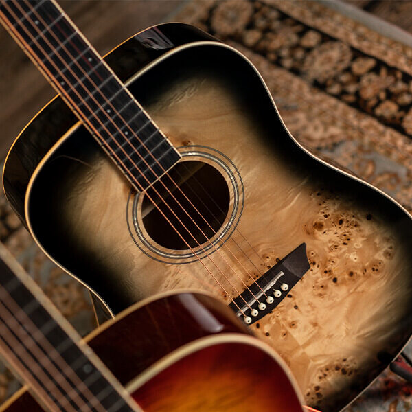 Washburn Deep Forest Burl Dreadnought DFBDB Acoustic Guitar