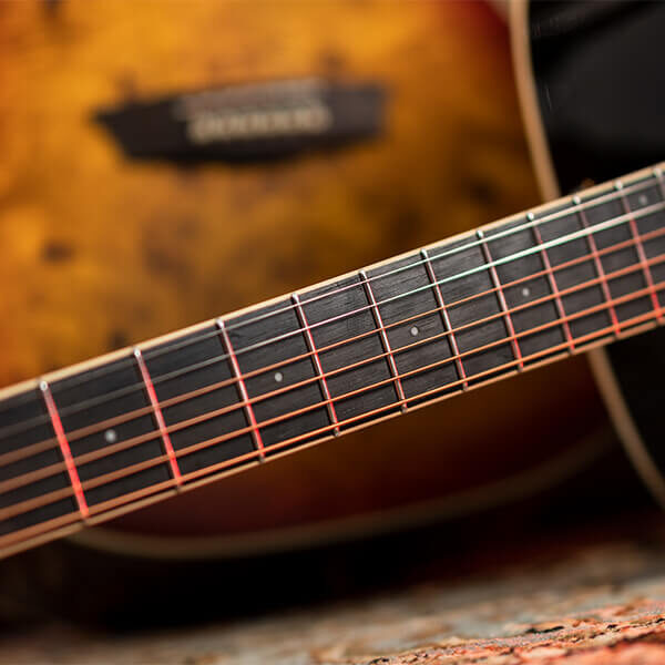 Washburn Deep Forest Burl Dreadnought DFBDB Acoustic Guitar