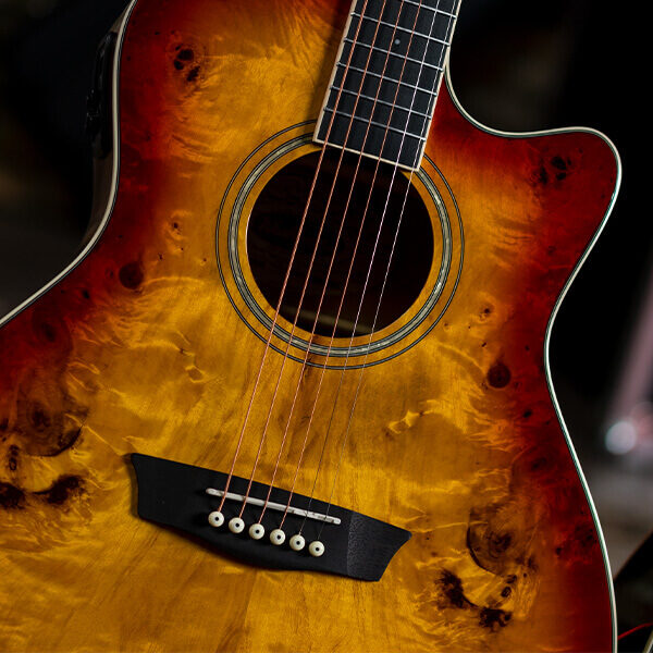 Washburn DFBACEA Deep Forest Burl Grand Auditorium Electric Acoustic Guitar