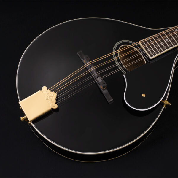 Washburn M1SD Americana Series A-Style Mandolin