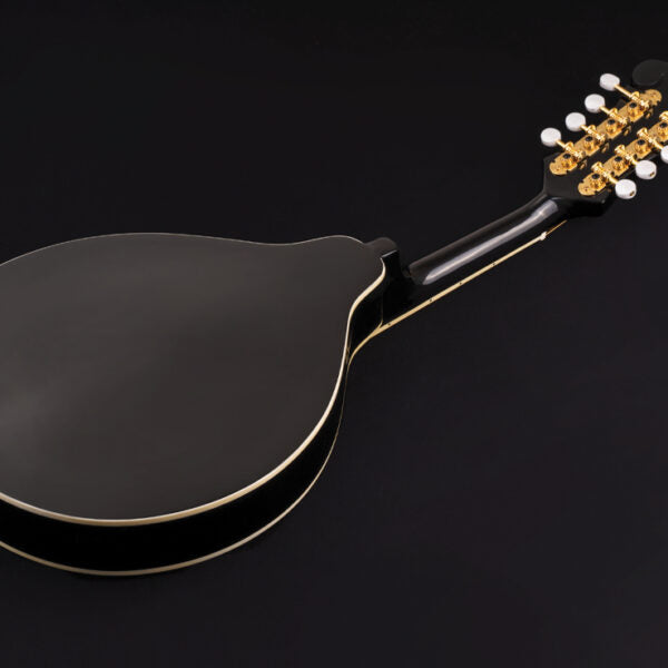 Washburn M1SD Americana Series A-Style Mandolin