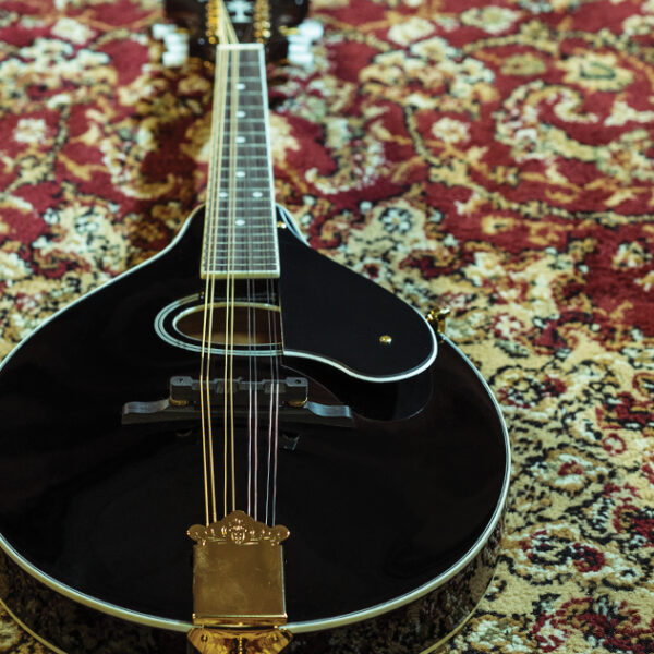 Washburn M1SD Americana Series A-Style Mandolin