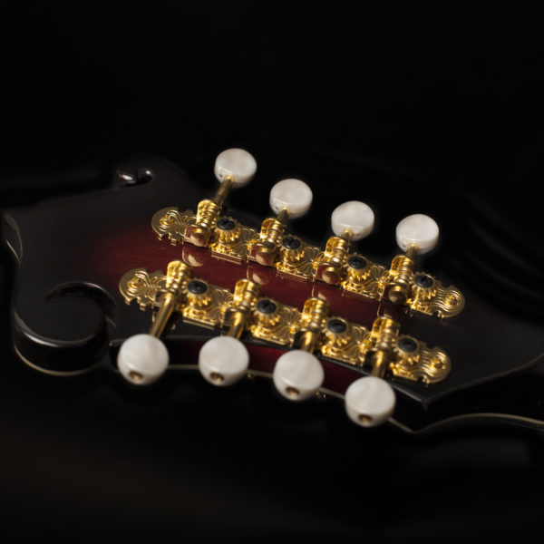 Washburn M3SWE Americana Series F-Style Electric Mandolin