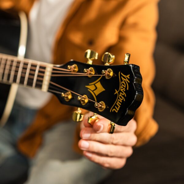 Washburn WD100DLBK-U Dreadnought Mahogany Acoustic Guitar