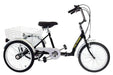2022 Belize Bike Tri-Rider 20" 6 Speed Folding Step-Through Adult Tricycle, 96204 - Upzy.com