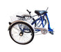 2022 Belize Bike Tri-Rider 24" 6 Speed Folding Low Step-Through Tricycle, 96244 - Upzy.com