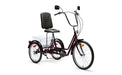 2022 Belize Bike Tri-Rider Comfort 24/20 Semi Recumbent 6 Speed Trike, 98223 - Upzy.com