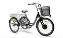 2022 Belize Bike Tri-Rider E-Trike Li 24 6 Speed Electric Tricycle, 98186 - Upzy.com