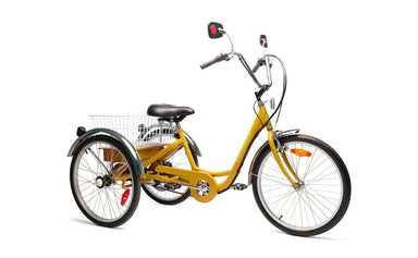 2022 Belize Bike Tri-Rider Elek-Trike 450W 24V 3 Speed Electric Tricycle, 98183 - Upzy.com