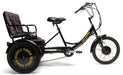2022 Belize Tri-Rider Buddy ELECTRIC 20" 2 Passenger Adaptive Trike, 96604 - Upzy.com