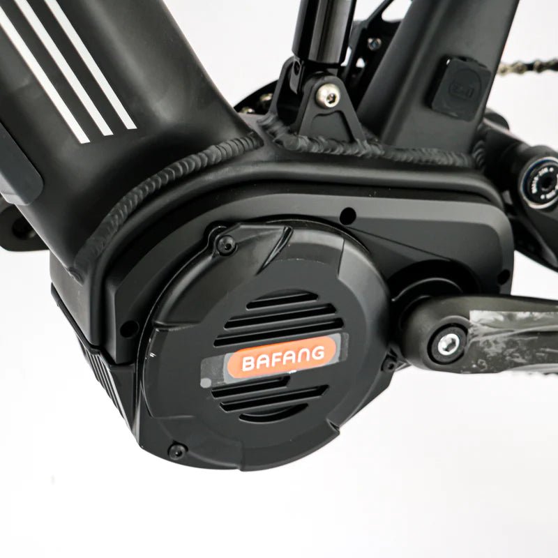Biktrix ultra 2024