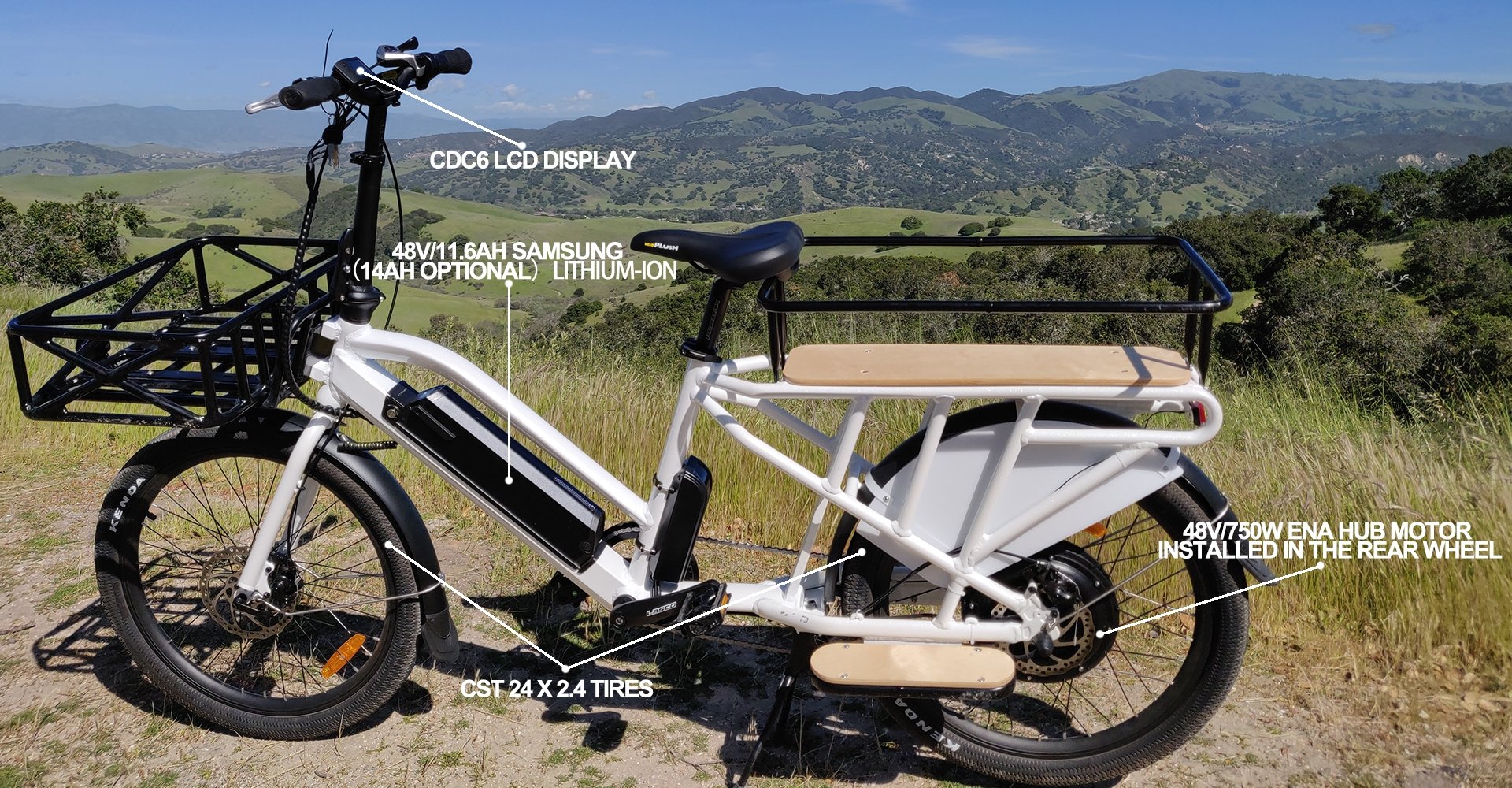 family electric bicycle 2026 Eunorau MAX-CARGO 2.0 750W 48V Delivery Family Electric Bike — Upzy.com