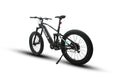 2023 BTN Eunorau SPECTER S 1000W 48V Fat Tire Electric Mountain Hunting Bike - Upzy.com