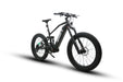2023 BTN Eunorau SPECTER S 1000W 48V Fat Tire Electric Mountain Hunting Bike - Upzy.com