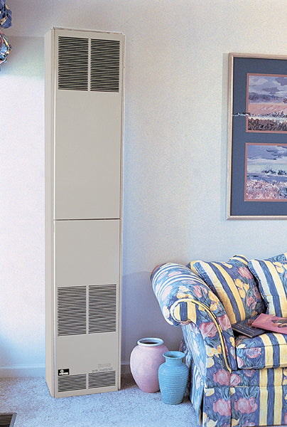 Empire Hearthrite DVC55IPX 55,000 BTU Direct-Vent Counterflow Vented Wall Furnace