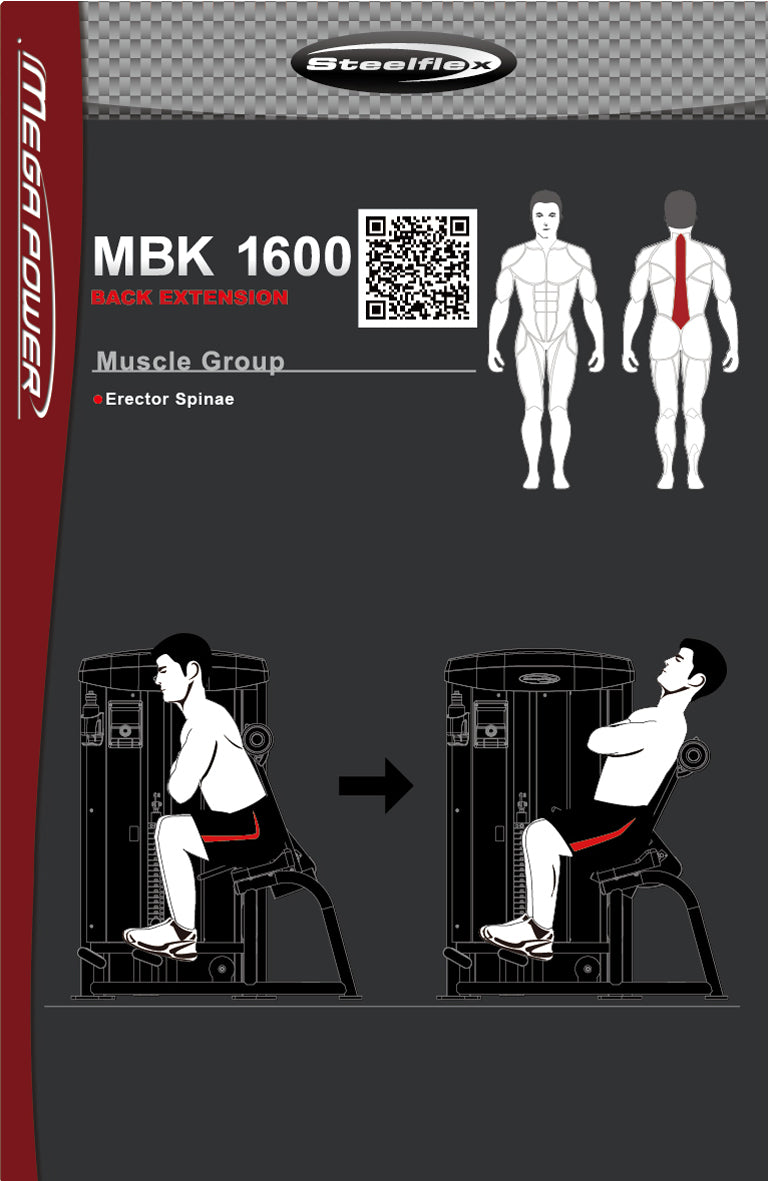 Steelflex Megapower MBK-1600 Back Weight Machine