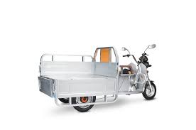 PET 500W Electric CARGO TRUCK Trike Tricycle Scooter