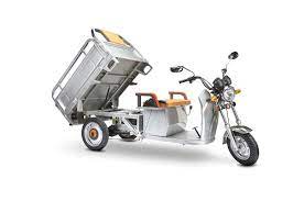 PET 500W Electric CARGO TRUCK Trike Tricycle Scooter
