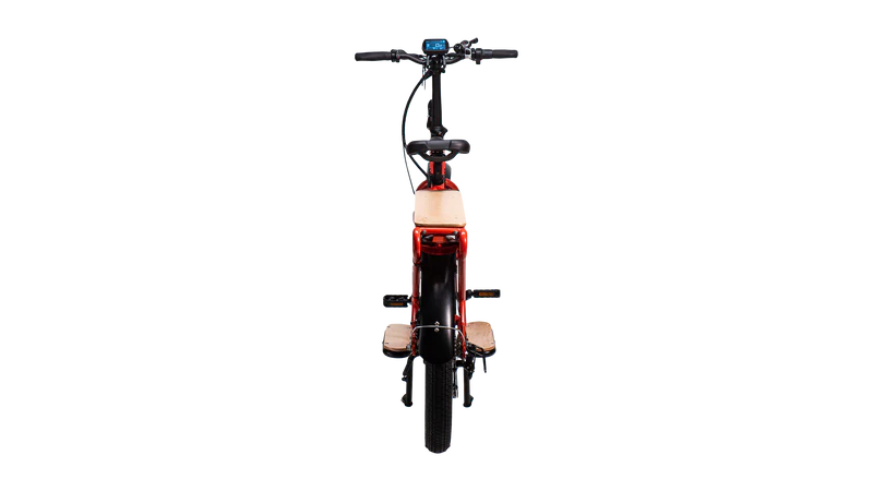 2025 Biktrix Skycap 2 750W 48V 7 Speed Cargo Electric Bike, Rack & Fenders