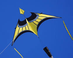 HQ Kites Hoffmann's Canard Delta "S" Yellow Kite, Beginner, Carbon Frame
