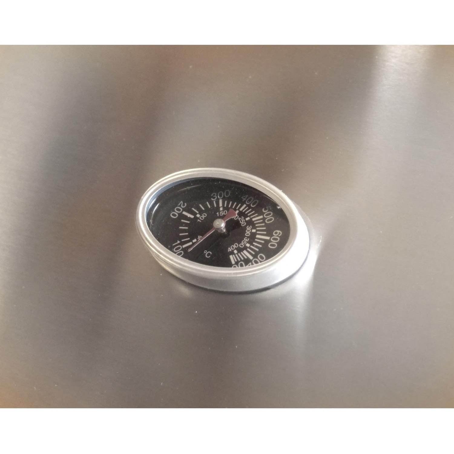 AOG L-Series 24" PORTABLE Outdoor Freestanding Gas Grill - Upzy.com