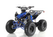 Apollo Blazer 9 125cc Automatic Reverse Kids Quad All-Terrain Vehicle ATV - Upzy.com