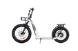 Bakcou Timberwolf 750W 48V Folding Handlebar Electric Scooter - Upzy.com