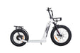 Bakcou Timberwolf 750W 48V Folding Handlebar Electric Scooter - Upzy.com