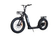 Bakcou Timberwolf 750W 48V Folding Handlebar Electric Scooter - Upzy.com