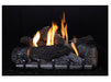 Empire 42" OP42FB2MF Carol Rose Coastal Premium Vent Free Outdoor Gas Firebox - Upzy.com