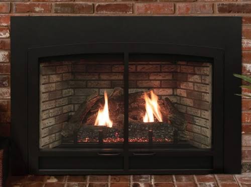 Empire Innsbrook DVC20IN SMALL Clean Face Direct Vent Fireplace Insert - Upzy.com