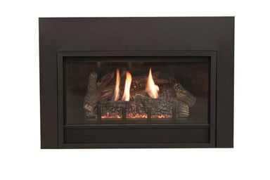 Empire Innsbrook DVC20IN SMALL Clean Face Direct Vent Fireplace Insert - Upzy.com