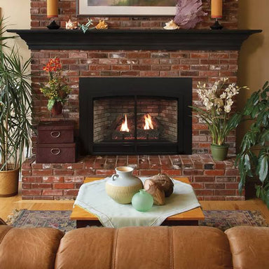 Empire Innsbrook DVC28IN LARGE Clean Face Direct Vent Fireplace Insert - Upzy.com