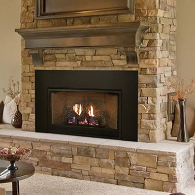 Empire Innsbrook DVC28IN LARGE Clean Face Direct Vent Fireplace Insert - Upzy.com
