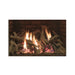 Empire Rushmore DVCT40CBP 40" Clean Face Direct-Vent Gas Fireplace - Upzy.com