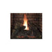 Empire Tahoe 32" DVCP32BP Clean Face Premium Direct Vent Gas Fireplace - Upzy.com